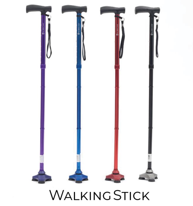 Walking Stick